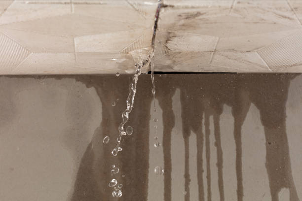 Professional Water Damage Inspection technician working in Cummington, MA